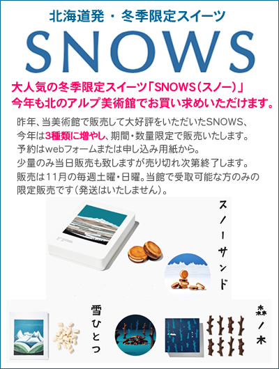 SNOWSi̔y[W
